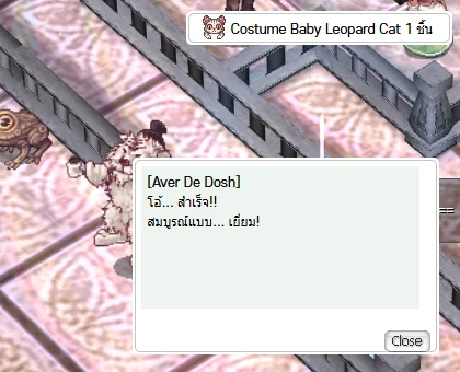 ใส่หินสำเร็จ ได้ Costume กลับเข้ากระเป๋า