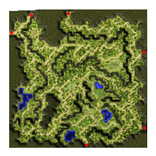 Comodo Field 1