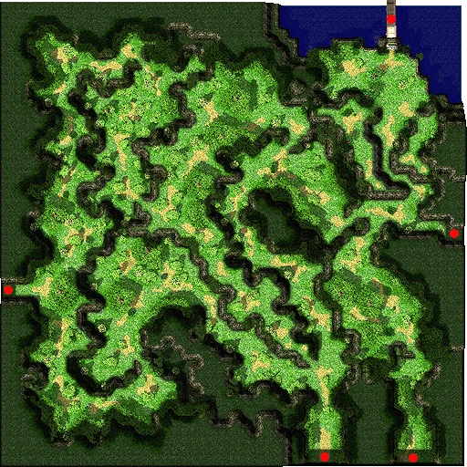 Payon Forest 1