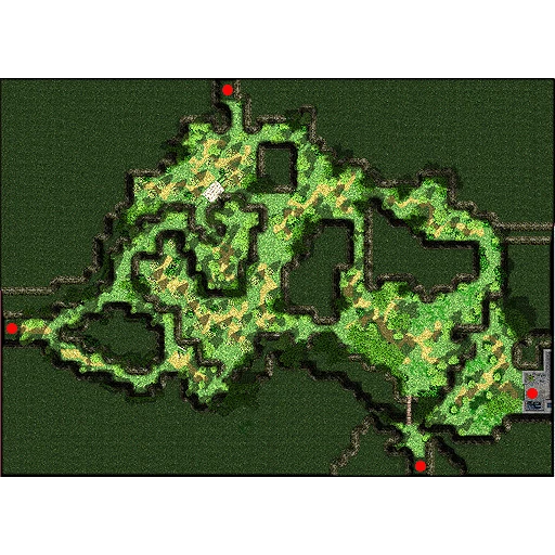 Payon Forest 3