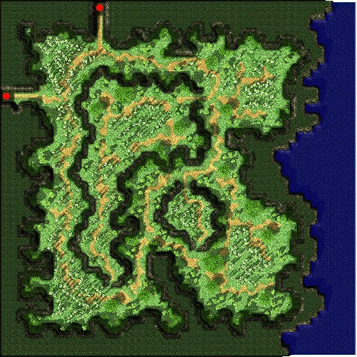 Payon Forest 10
